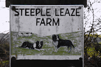 steeple leaze campsite