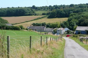 Steeple leaze farm