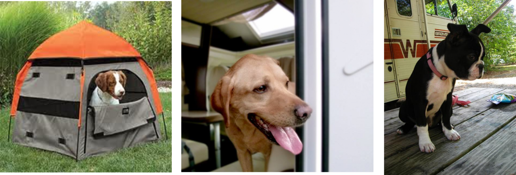 Doggies in campervans